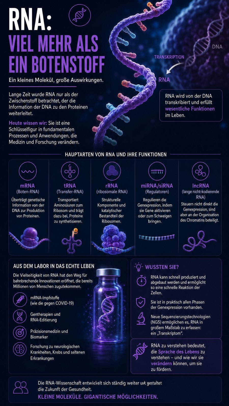 Infografik zu den RNA-Typen und ihren Funktionen
